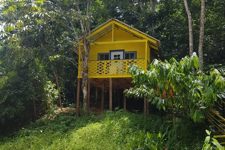 Beach and Mountain Overnight Horseback Riding Combo in El Seibo - Photo 1 of 8